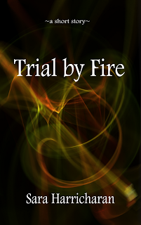 Trial By Fire (ebook)